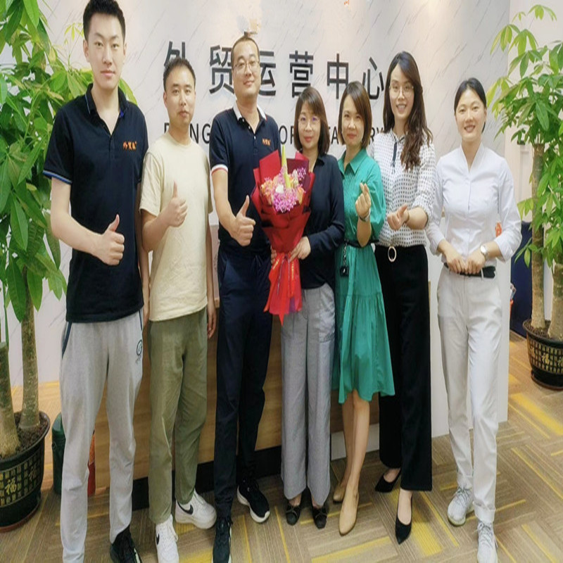 Màu sắc gió của các đối tác trong Bộ Công ty da Xinyang của Xinyang